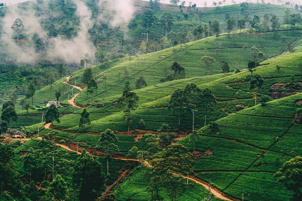 Nuwara Eliya